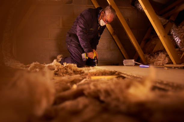 Best Spray Foam Insulation  in Rainbow, CA